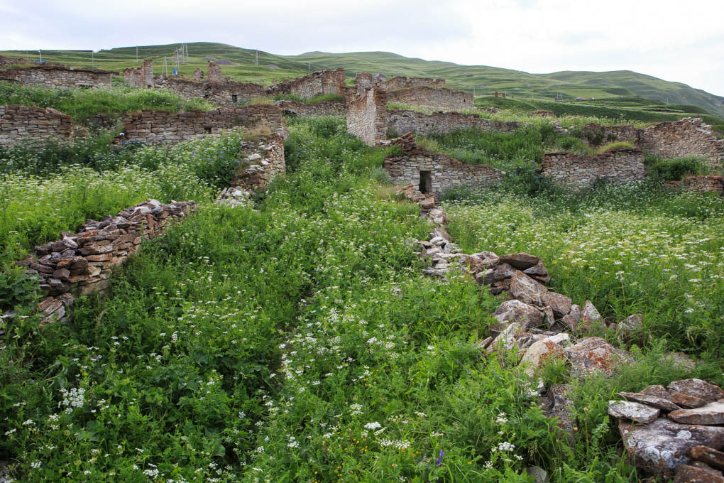 Khoy (Хой)
